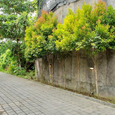 A7 Guesthouse Canggu Kültér fotó